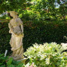 DSC02513-20