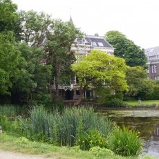 Oud-Zuid Roses 02