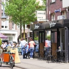 Oud-Zuid Roses 19