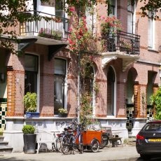Oud-Zuid Roses 28