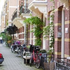 Oud-Zuid Roses 29