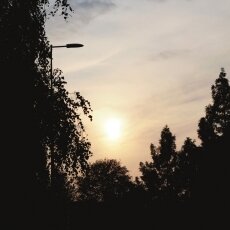 Oude Houthaven Amsterdam 32