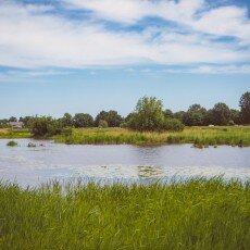 Oudorperpolder Alkmaar 03