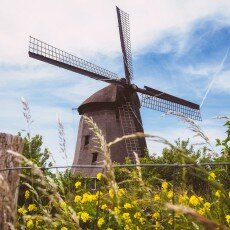 Oudorperpolder Alkmaar 06