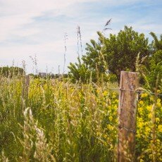 Oudorperpolder Alkmaar 07