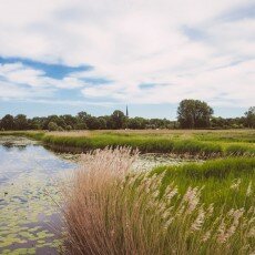 Oudorperpolder Alkmaar 13