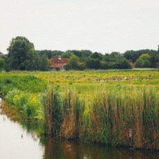 Oudorperpolder Alkmaar 16