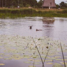 Oudorperpolder Alkmaar 17