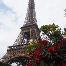 Paris in May - the Eiffel Tower and roses