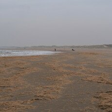 Overcast day in Petten aan Zee 04