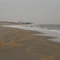 Overcast day in Petten aan Zee 06
