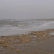 Overcast day in Petten aan Zee 09