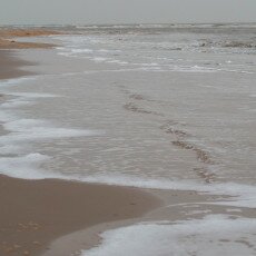 Overcast day in Petten aan Zee 14