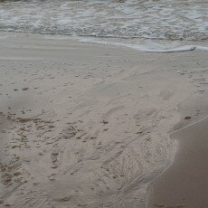 Overcast day in Petten aan Zee 16