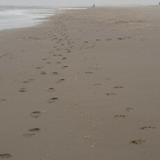 Overcast day in Petten aan Zee 25
