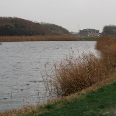 Overcast day in Petten aan Zee 30