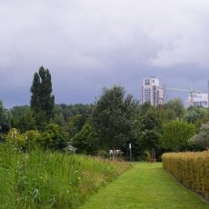 After the rain 01
