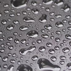 After the rain 09