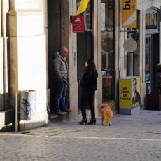 Porto Streets 16