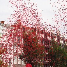 Canal Parade 2018  - 24