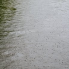 Beautiful rainy day 13