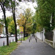 Rainy day in Bucharest 15
