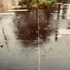 Rainy day in Nice 19