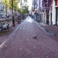 Early morning in the Red Light District 17