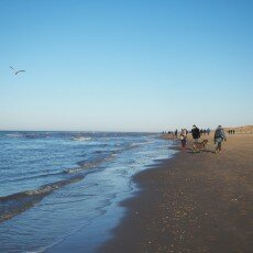 Winter day at Egmond aan Zee 06
