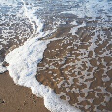 Winter day at Egmond aan Zee 17