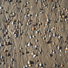 Winter day at Egmond aan Zee 11