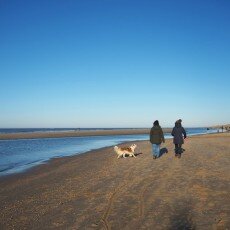 Winter day at Egmond aan Zee 12
