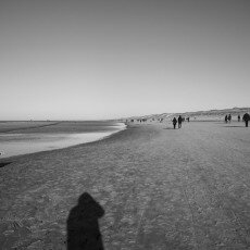 Winter day at Egmond aan Zee 13