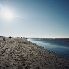 Winter day at Egmond aan Zee 16