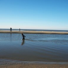 Winter day at Egmond aan Zee 15