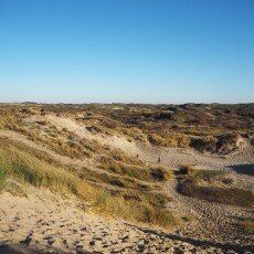 Winter day at Egmond aan Zee 23