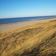 Winter day at Egmond aan Zee 20