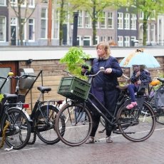 Rain, bikes, children