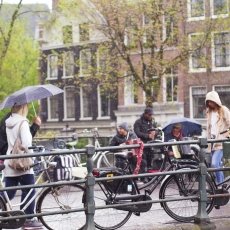 Rainy day in Amsterdam 01