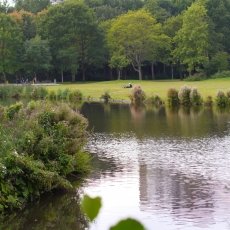 Rembrandtpark 03