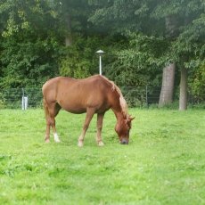 Rembrandtpark 08
