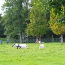 Rembrandtpark 09