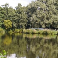 Rembrandtpark 11