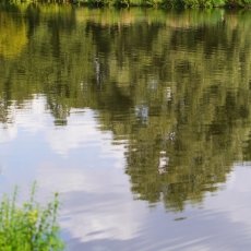 Rembrandtpark 12