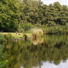 Rembrandtpark 13