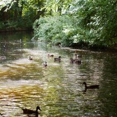Rembrandtpark 21