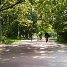 Rembrandtpark 22
