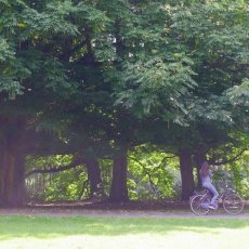 Rembrandtpark 26