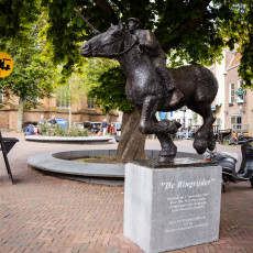 Ring Riding Domburg  2023 - 16