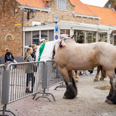 Ring Riding Domburg  2023 - 02